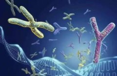 2025年汇总!大同亲子鉴定机构有哪些?