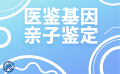朔州司法亲子鉴定费用明细解析（2025全新报价）